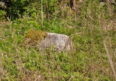 Hřbitov Heřmanovice, Omnium, 2017
