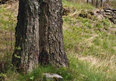 Hřbitov Heřmanovice, Omnium, 2017