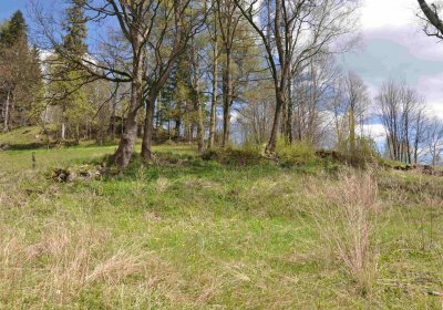Hřbitov Heřmanovice, Omnium, 2017