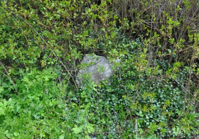 Hřbitov Heřmanovice, Omnium, 2017