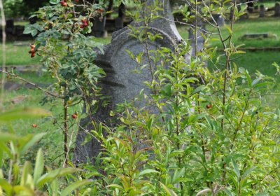 Marek Zdeněk, Větrovská Barbora, 2016