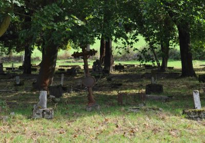 Marek Zdeněk, Větrovská Barbora, 2016