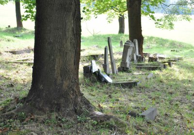Marek Zdeněk, Větrovská Barbora, 2016