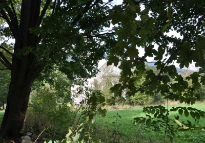 Marek Zdeněk, Větrovská Barbora, 2016