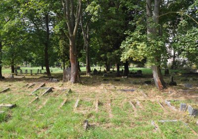 Marek Zdeněk, Větrovská Barbora, 2016