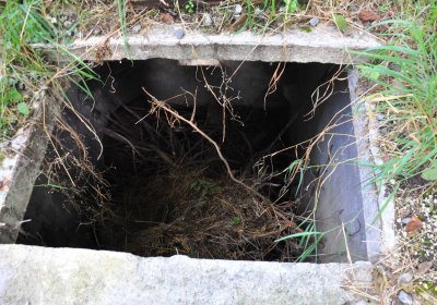 Marek Zdeněk, Větrovská Barbora, 2016