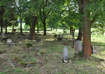 Marek Zdeněk, Větrovská Barbora, 2016