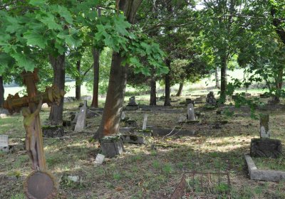 Marek Zdeněk, Větrovská Barbora, 2016