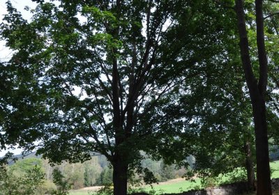 Marek Zdeněk, Větrovská Barbora, 2016