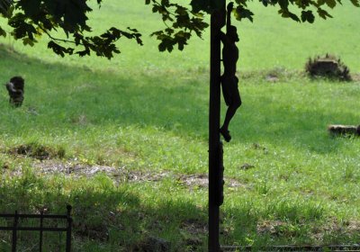 Marek Zdeněk, Větrovská Barbora, 2016