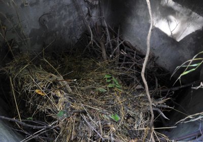 Marek Zdeněk, Větrovská Barbora, 2016