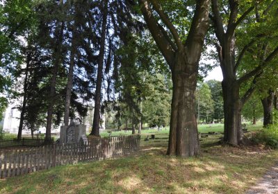 Marek Zdeněk, Větrovská Barbora, 2016