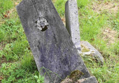 Marek Zdeněk, Větrovská Barbora, 2016