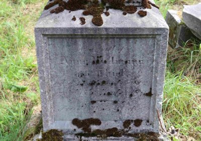 Marek Zdeněk, Větrovská Barbora, 2016