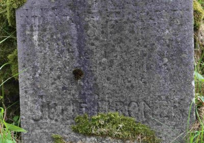 Marek Zdeněk, Větrovská Barbora, 2016