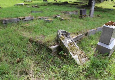 Marek Zdeněk, Větrovská Barbora, 2016