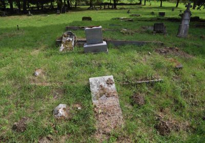 Marek Zdeněk, Větrovská Barbora, 2016