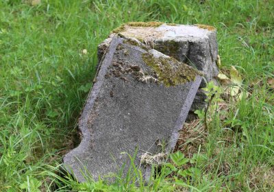 Marek Zdeněk, Větrovská Barbora, 2016