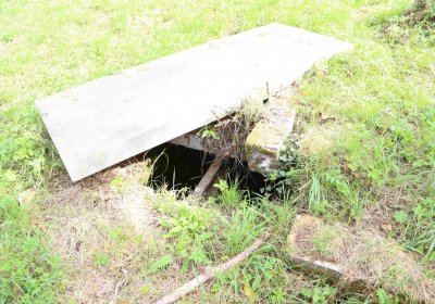 Marek Zdeněk, Větrovská Barbora, 2016