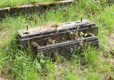 Marek Zdeněk, Větrovská Barbora, 2016
