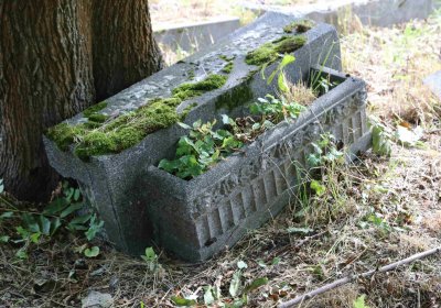 Marek Zdeněk, Větrovská Barbora, 2016