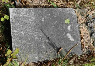 Marek Zdeněk, Větrovská Barbora, 2016