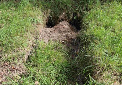 Marek Zdeněk, Větrovská Barbora, 2016