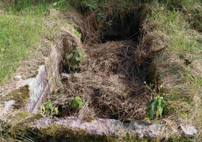 Marek Zdeněk, Větrovská Barbora, 2016