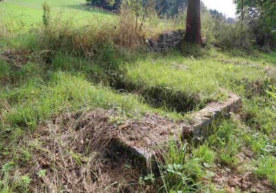 Marek Zdeněk, Větrovská Barbora, 2016
