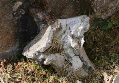 Marek Zdeněk, Větrovská Barbora, 2016