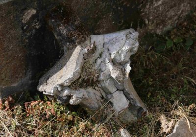 Marek Zdeněk, Větrovská Barbora, 2016