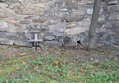 Marek Zdeněk, Větrovská Barbora, 2016