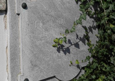 Marek Zdeněk, Větrovská Barbora, 2016