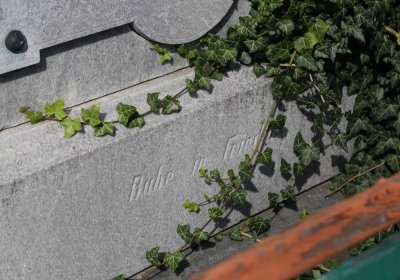 Marek Zdeněk, Větrovská Barbora, 2016