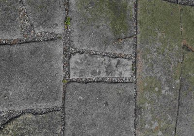 Marek Zdeněk, Větrovská Barbora, 2016