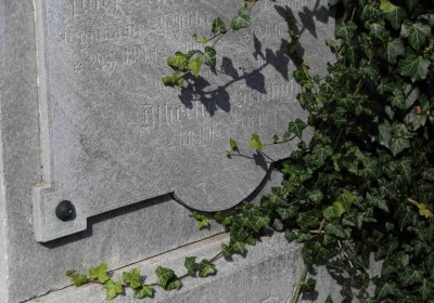 Marek Zdeněk, Větrovská Barbora, 2016