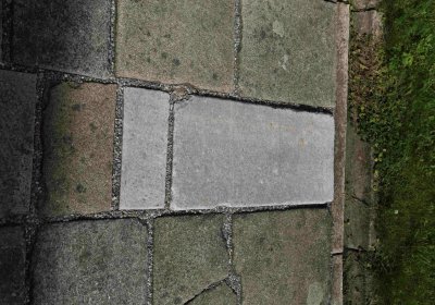 Marek Zdeněk, Větrovská Barbora, 2016