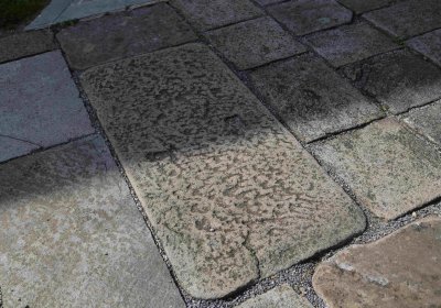 Marek Zdeněk, Větrovská Barbora, 2016