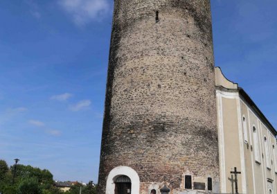 Marek Zdeněk, Větrovská Barbora, 2016