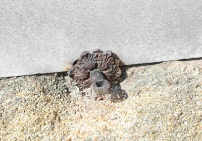 Marek Zdeněk, Větrovská Barbora, 2016