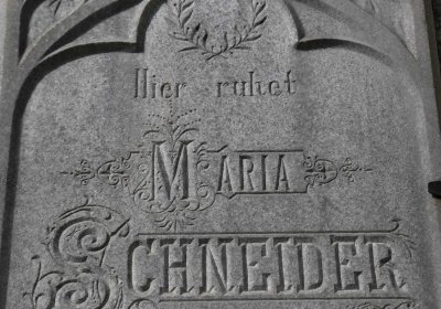 Marek Zdeněk, Větrovská Barbora, 2016