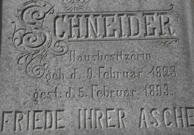 Marek Zdeněk, Větrovská Barbora, 2016