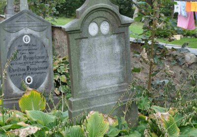 Marek Zdeněk, Větrovská Barbora, 2016