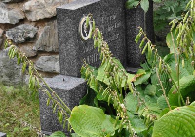 Marek Zdeněk, Větrovská Barbora, 2016