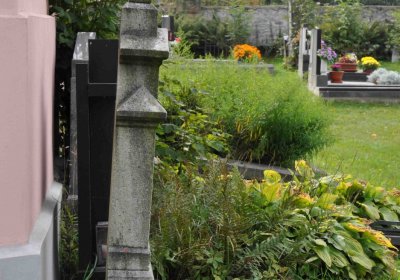 Marek Zdeněk, Větrovská Barbora, 2016