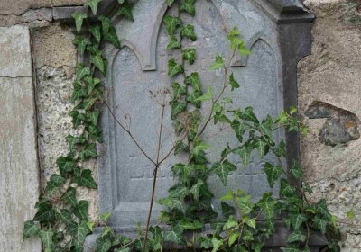 Marek Zdeněk, Větrovská Barbora, 2016