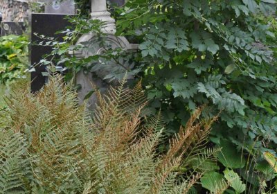 Marek Zdeněk, Větrovská Barbora, 2016