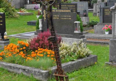 Marek Zdeněk, Větrovská Barbora, 2016