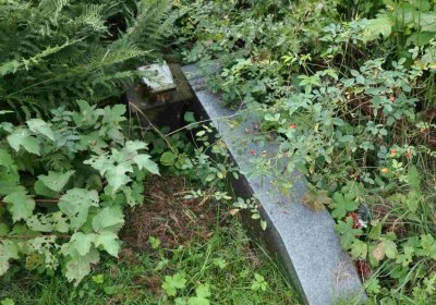 Marek Zdeněk, Větrovská Barbora, 2016