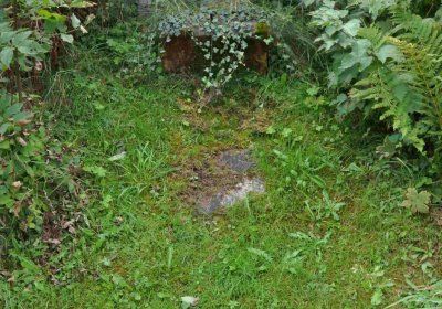 Marek Zdeněk, Větrovská Barbora, 2016